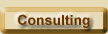CI Consulting Services
