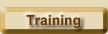 CI Training